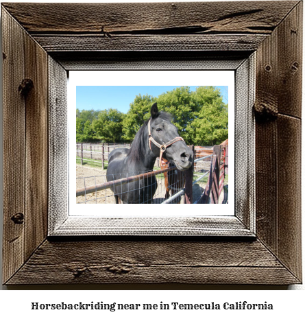 horseback riding near me in Temecula, California